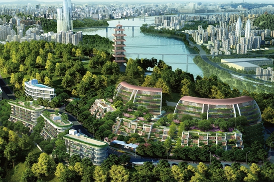 重慶鵝嶺峰——導光系統應用