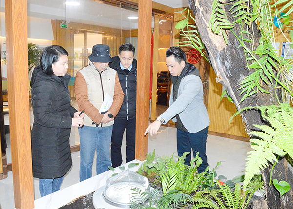雙模式無電照明系統